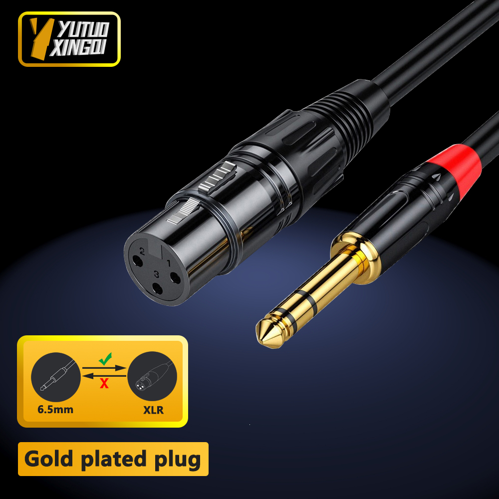 Musical Instrument Synthesizer - 6.5mm Ses XLR Dişi Ses Kablosu