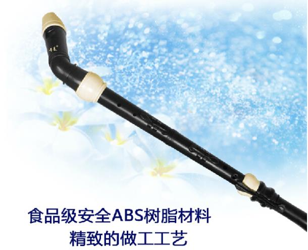Profesyonel 8 Delik Barok Bas  - Musical Instrument In Chinese incelemesi ve fiyatı